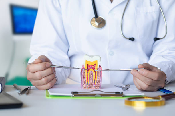 , ND Emergency Dentist Company